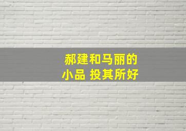 郝建和马丽的小品 投其所好